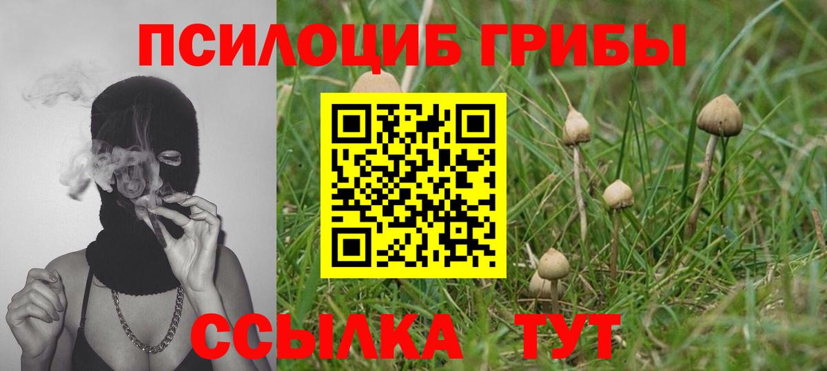 Галлюциногенные грибы ЛСД  Вход с VPN  закладка  Челябинск 