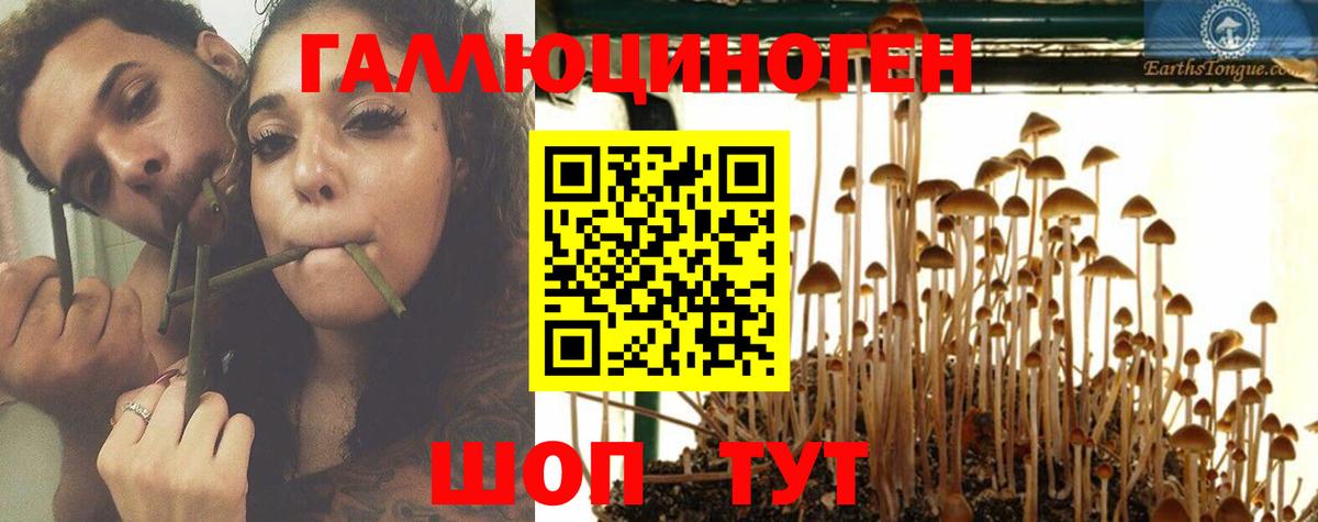 Галлюциногенные грибы ЛСД  Челябинск 